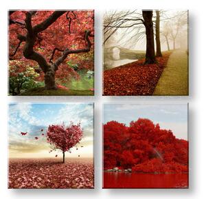 Obraz na stěnu Barevný svět 4 díly XOBKOL26E42 - 40x40 cm
