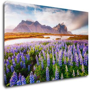 Impresi Obraz Horská krajina s květinami - 90 x 60 cm
