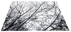Tutumi Nature 4D, plyšový koberec vzor: černé stromy 160x230 cm, SHG-09003
