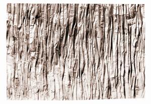 Tutumi, plyšový koberec Nature 4D vzor: béžová skála 160x230 cm, SHG-09001