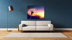 Impresi Obraz Pampeliška se západem slunce - 90 x 70 cm