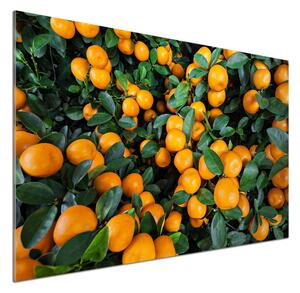 Dekorační panel sklo Mandarinky pksh-57364475