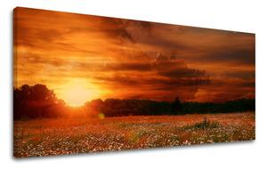 Obraz na stěnu PANORAMA KRAJINA - 30x60 cm