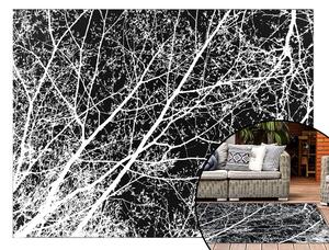 Tutumi, plyšový koberec Nature 4D vzor: bílé stromy 160x230 cm, SHG-09002