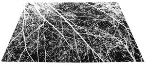 Tutumi, plyšový koberec Nature 4D vzor: bílé stromy 160x230 cm, SHG-09002