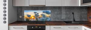 Skleněný panel do kuchynské linky Suchopýr pksh-57581157