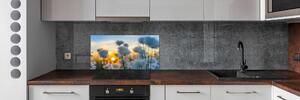 Skleněný panel do kuchynské linky Suchopýr pksh-57581157