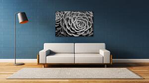 Impresi Obraz Květ černobílý detail - 60 x 40 cm