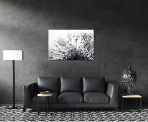 Impresi Obraz Pampeliška s kapkami vody - 60 x 40 cm