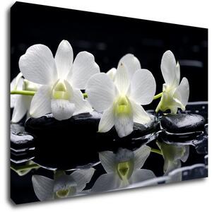Impresi Obraz Bílé orchidee na černém pozadí - 90 x 60 cm