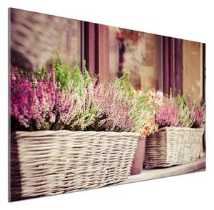 Panel do kuchyně Levandule v květináči pksh-57811741
