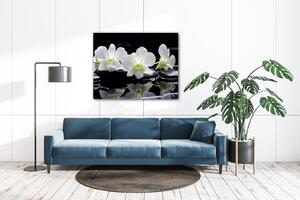 Impresi Obraz Bílé orchidee na černém pozadí - 90 x 70 cm