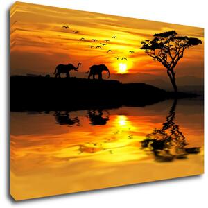 Impresi Obraz Safari západ slunce - 60 x 40 cm