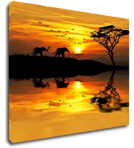 Impresi Obraz Safari západ slunce - 90 x 70 cm