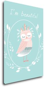 Impresi Obraz I'm beautiful owl - 40 x 60 cm