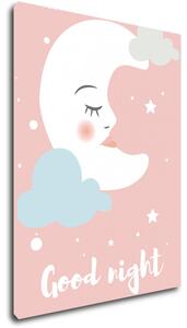 Impresi Obraz Good night pink moon - 30 x 40 cm