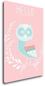Impresi Obraz Hello owl - 40 x 60 cm