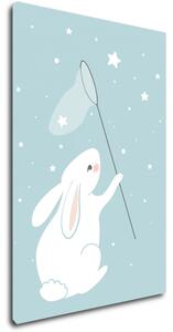 Impresi Obraz Little bunny - 40 x 60 cm