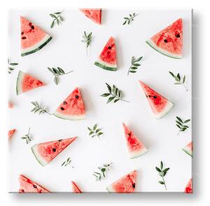 Obraz na stěnu MELON_087-12 - 30x30 cm