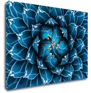 Impresi Obraz Modrý květ - 70 x 50 cm