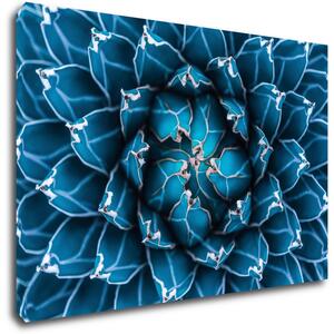 Impresi Obraz Modrý květ - 60 x 40 cm