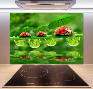 Panel do kuchyně Berušky deštníky pksh-58636971