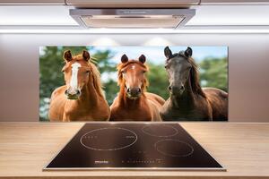 Dekorační panel sklo Tři koně pksh-58776709