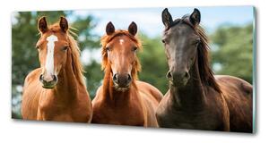 Dekorační panel sklo Tři koně pksh-58776709