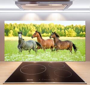 Panel do kuchyně Koně ve cvalu pksh-58845191
