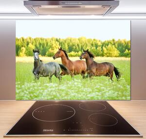 Panel do kuchyně Koně ve cvalu pksh-58845191