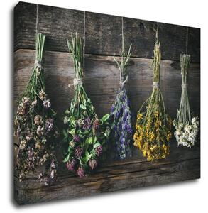 Impresi Obraz Suché květiny - 70 x 50 cm