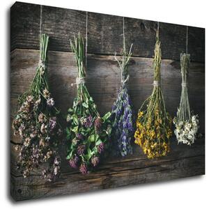 Impresi Obraz Suché květiny - 60 x 40 cm