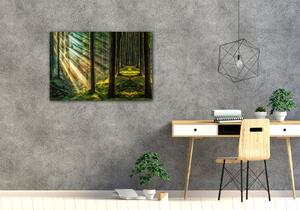 Impresi Obraz Paprsky slunce v lese - 60 x 40 cm