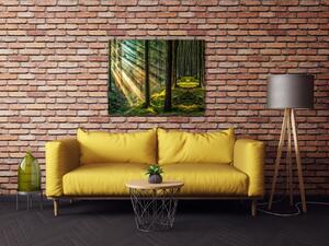 Impresi Obraz Paprsky slunce v lese - 90 x 70 cm