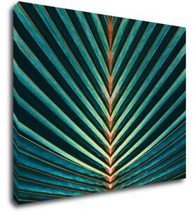 Impresi Obraz Palmový list - 90 x 70 cm