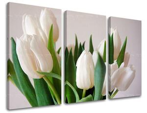 3dílný obraz na stěnu KVĚTINY - 60x40 cm