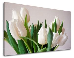 Obraz na stěnu KVĚTINY TULIPÁNY - 20x30 cm