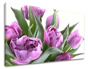 Obraz na stěnu KVĚTINY TULIPÁNY - 20x30 cm