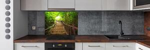Panel do kuchyně Schody v lese pksh-59535627
