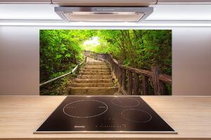 Panel do kuchyně Schody v lese pksh-59535627