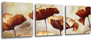 Impresi Obraz Malované květiny - 90 x 30 cm (3 dílný)