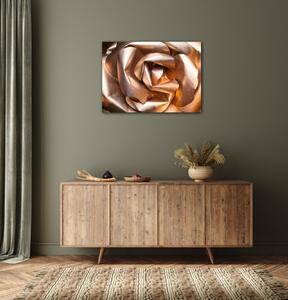 Impresi Obraz Abstrakt zlatá růže - 70 x 50 cm