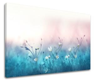 Obraz na stěnu BÍLÉ KVĚTY_156-11 - 20x30 cm