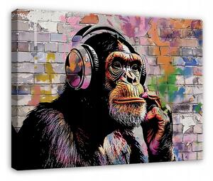 OBRAZ BANKSY OPICE GRAFFITI STREET ART MODERNÍ NA PLÁTNĚ NA ZEĎ 100x70