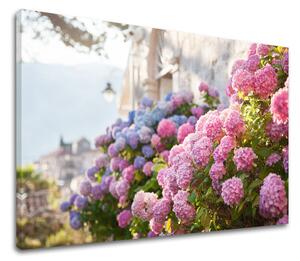 Obraz na stěnu RŮŽOVÉ KVĚTY_157-11 - 20x30 cm