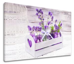 Obraz na stěnu FIAL FLOWERS_164-11 - 20x30 cm