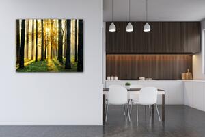 Impresi Obraz Osvícený les - 90 x 70 cm