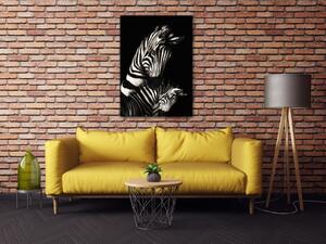 Impresi Obraz Zebry černobílé - 50 x 70 cm