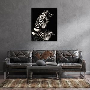 Impresi Obraz Zebry černobílé - 70 x 90 cm
