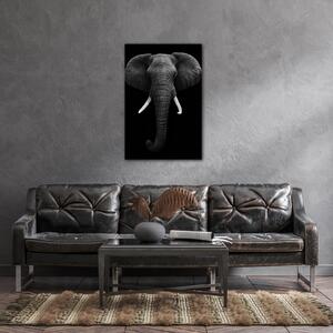 Impresi Obraz Slon černobílý - 60 x 90 cm
